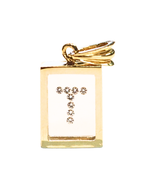 Incogem Floating Diamond Large Pendant "T"