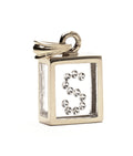 Incogem Floating Diamond Pendant "S" White Gold